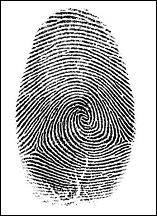 Fingerprint of thumb